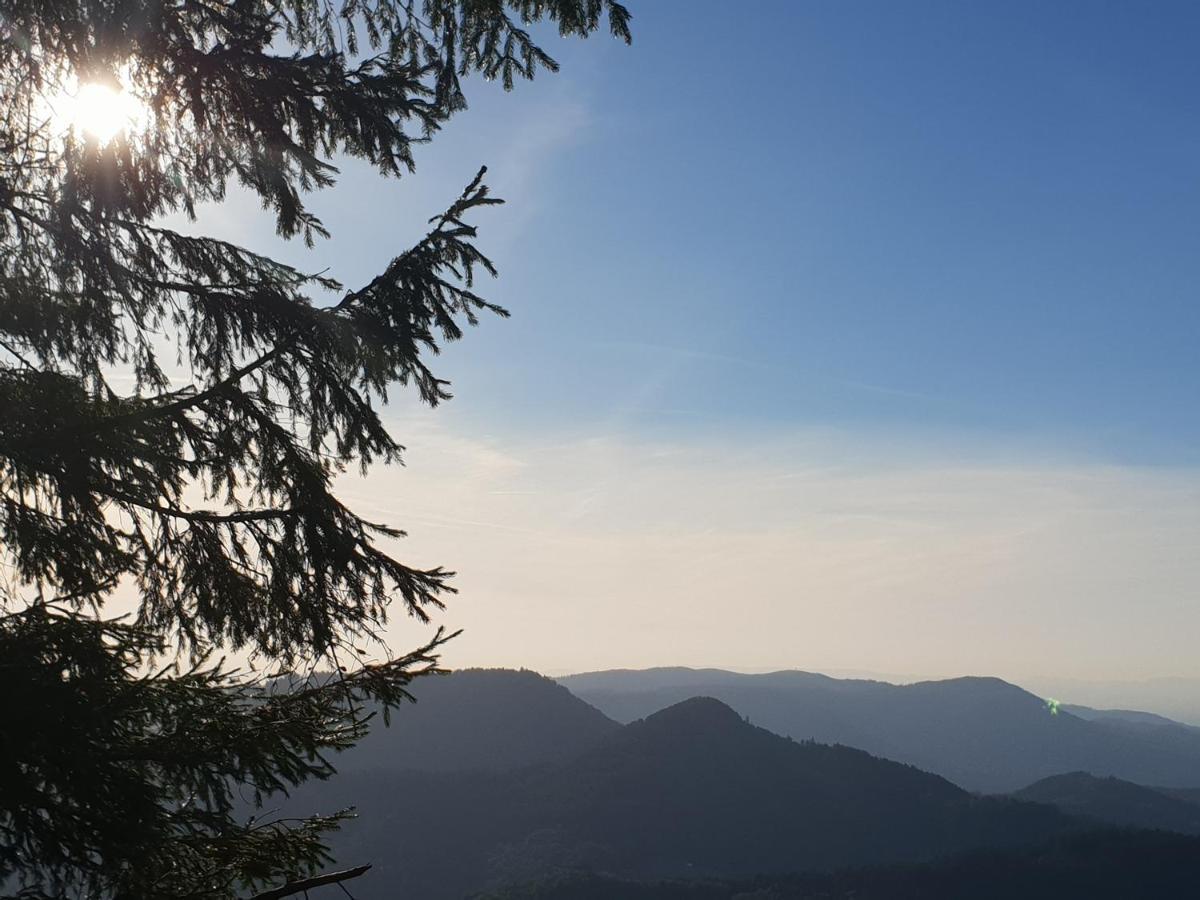 Ehrenmattlehof Faisst Aparthotel Bad Peterstal-Griesbach
