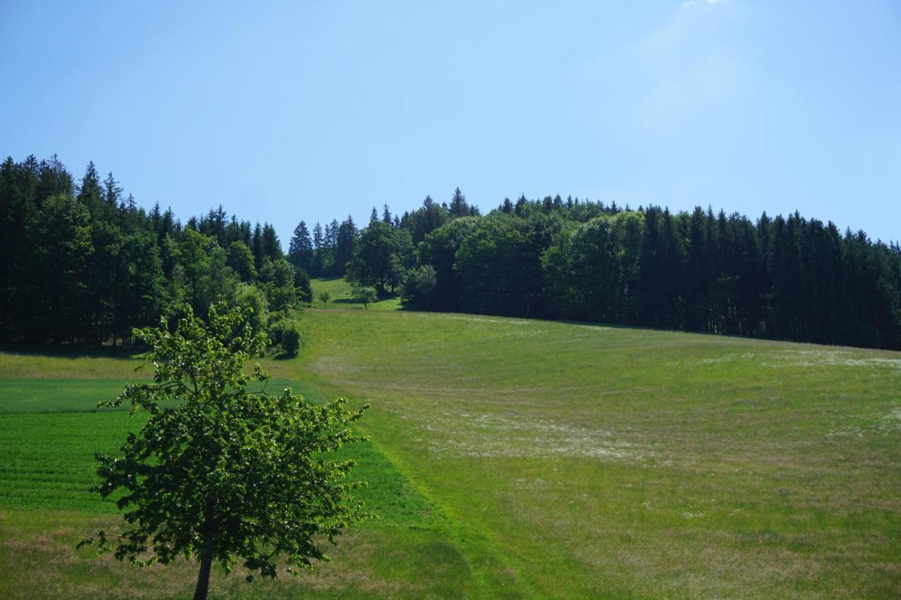 Ehrenmattlehof Faisst