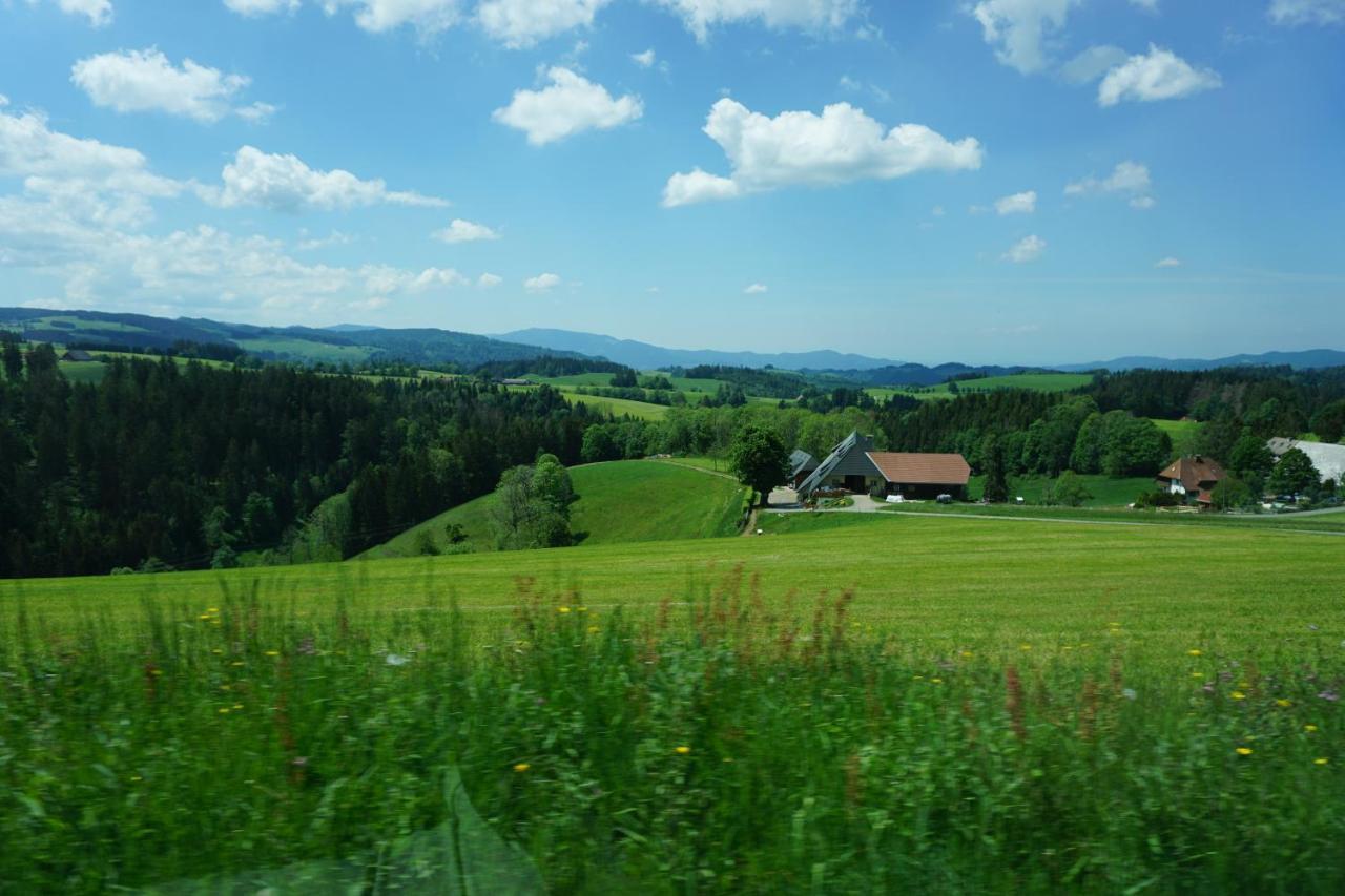 Aparthotel Ehrenmattlehof Faisst 4*
