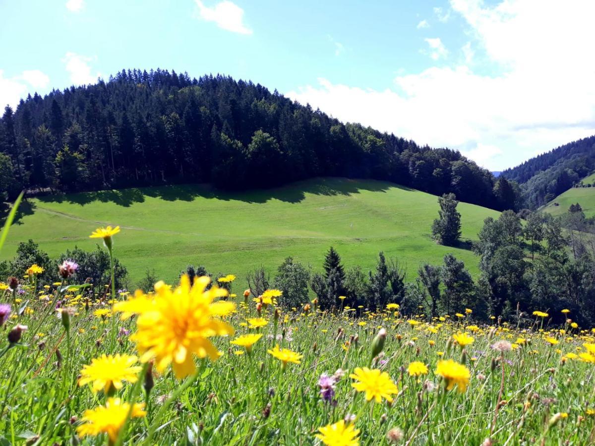 Ehrenmattlehof Faisst