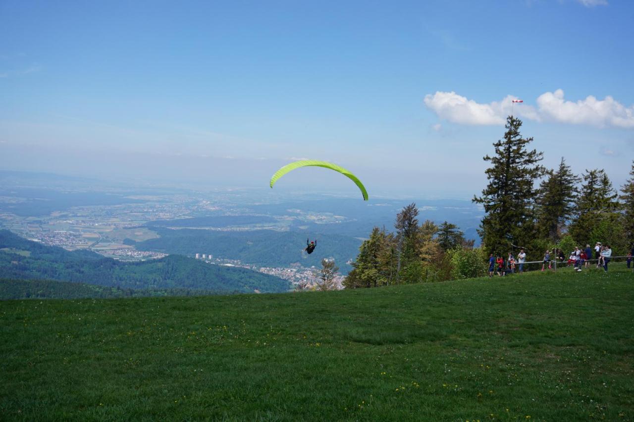 Ehrenmattlehof Faisst Aparthotel